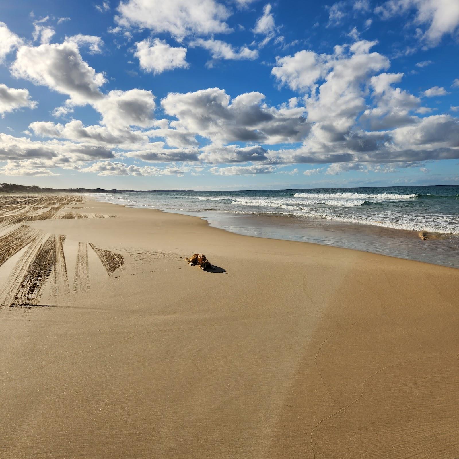 Sandee Orchid Beach Photo