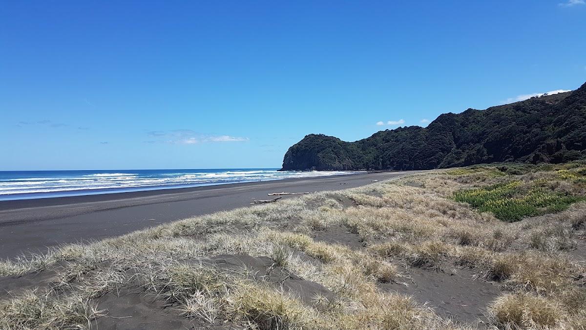 Sandee United North Piha Photo