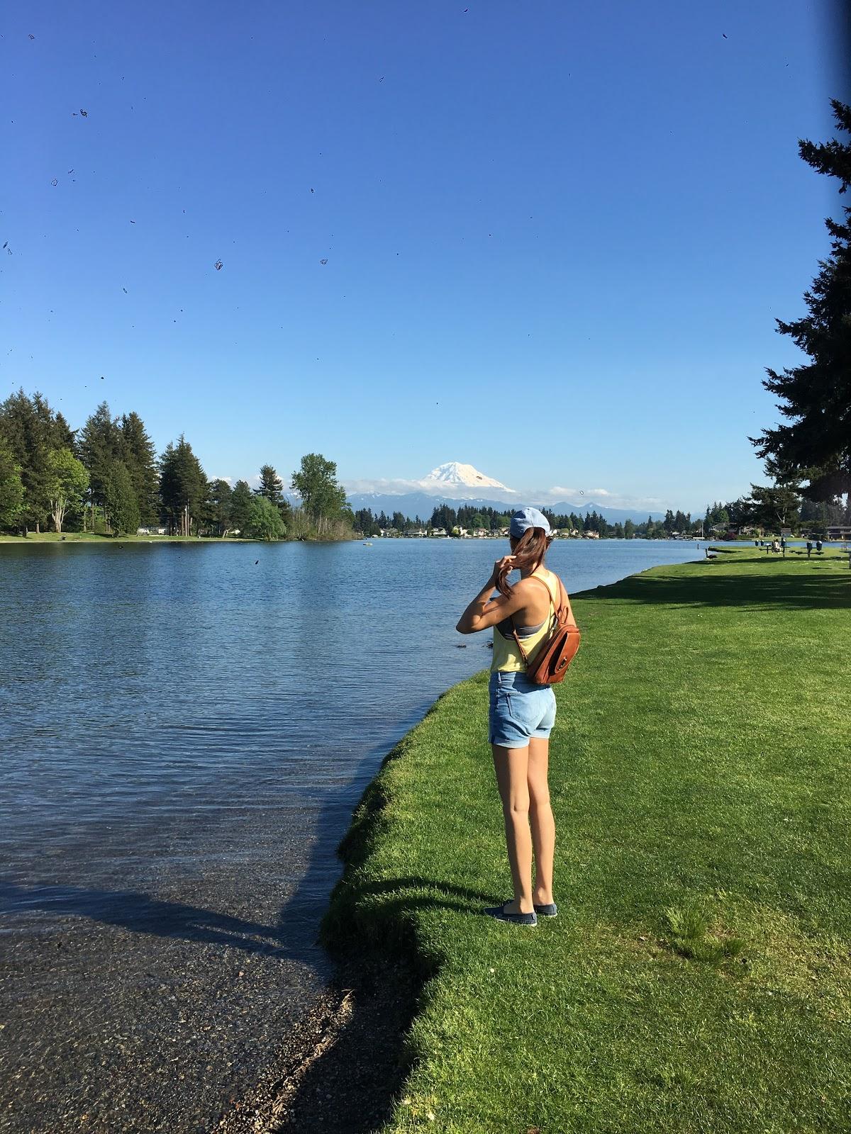 Sandee - Beach Lake Tapps