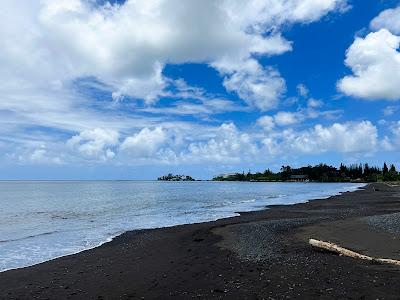 Sandee - Hilo Bayfront Park