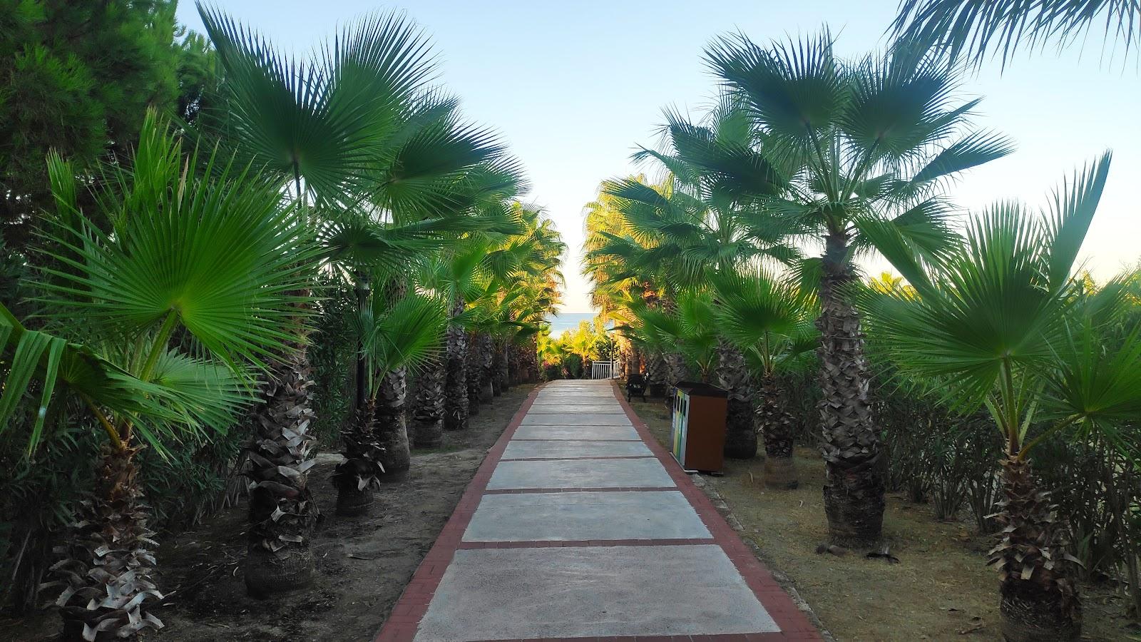 Sandee Alba Resort