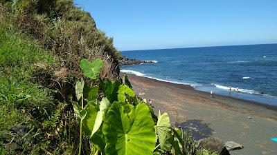 Sandee - Praia Da Viola