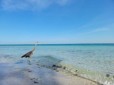 Sandee - Bean Point Beach