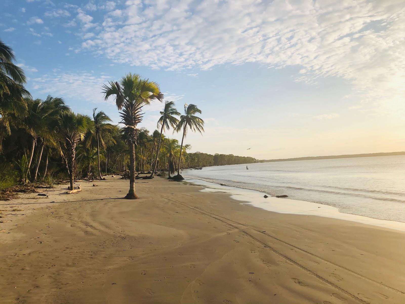 Sandee Playa El Bosque