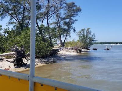 Sandee - Picnic Island Beach