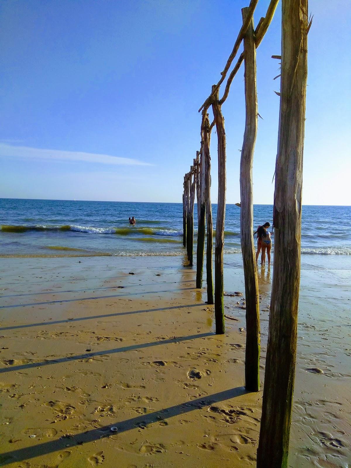 Sandee - Playa De Matalascanas