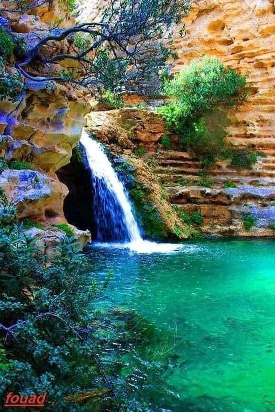Sandee Shati Umm Al A'Lam