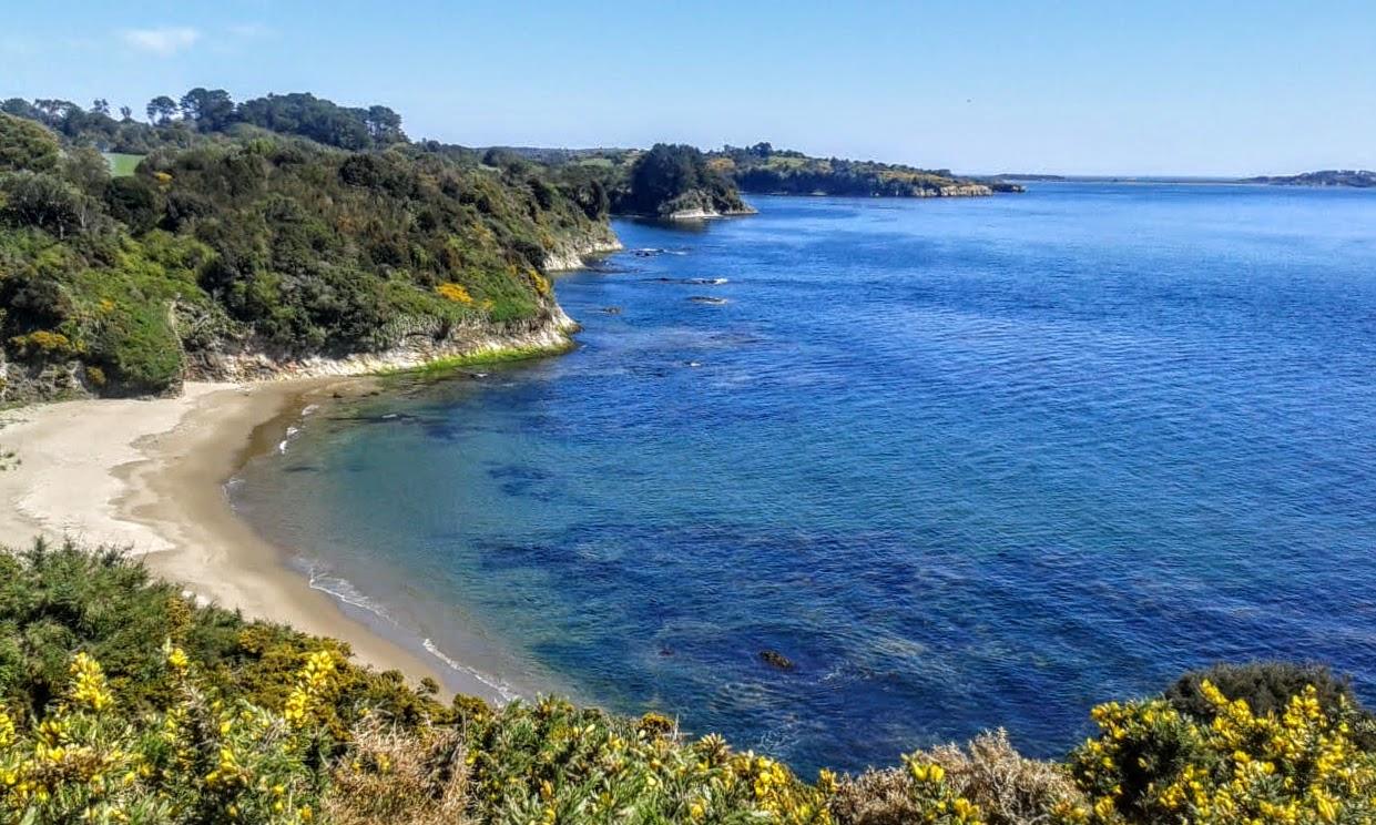 Sandee Playa Taraiguen Ancud Apta Para Veranear