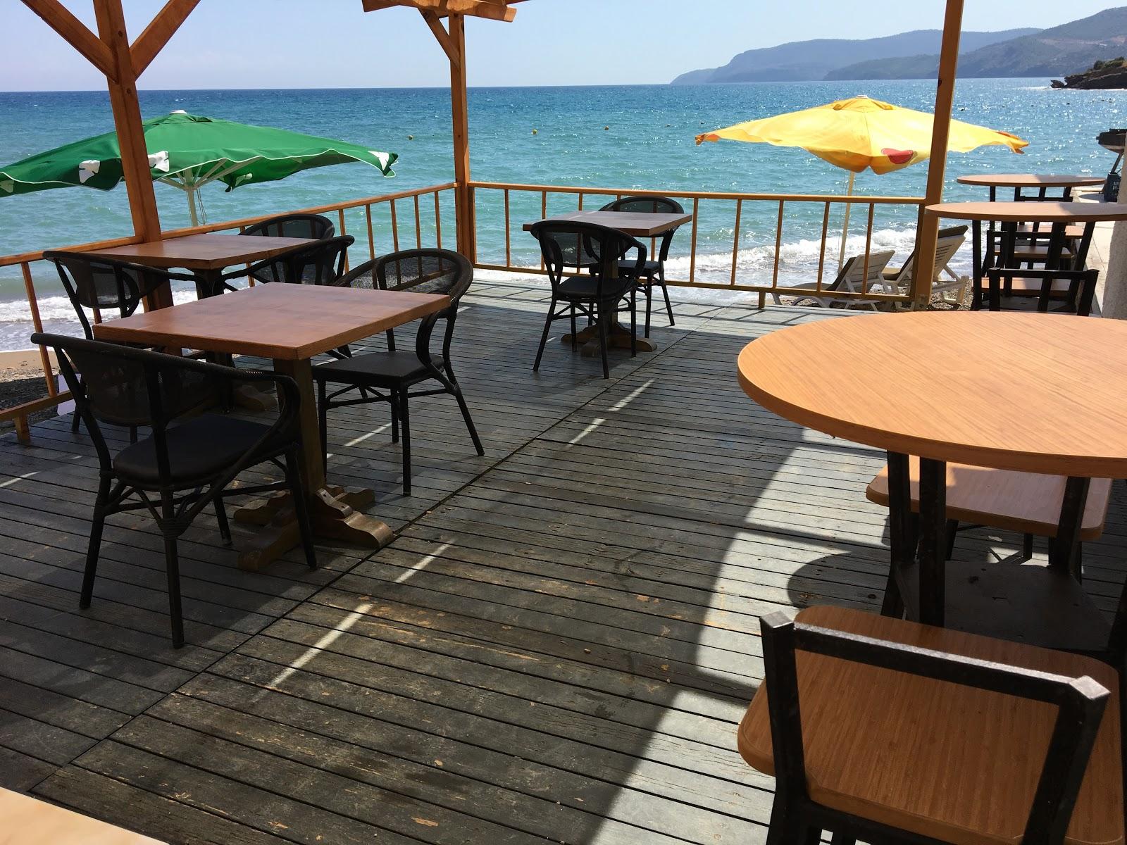 Sandee Pine Beach Club