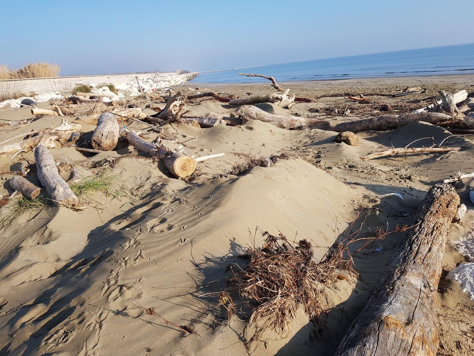 Sandee Murazzi Spiagga Libera Photo