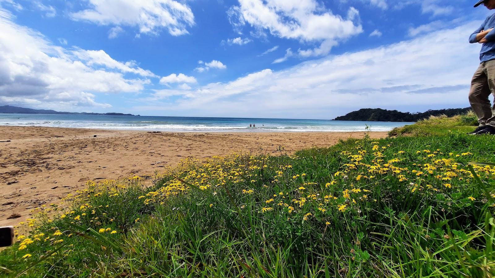 Sandee Sandy Bay