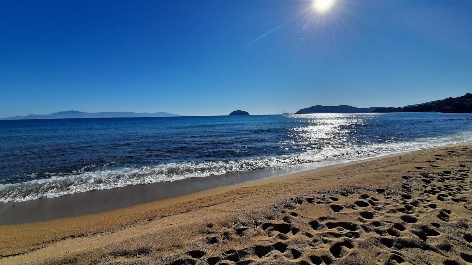 Sandee Palio Beach View