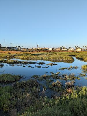 Sandee - Tijuana Slough National Wildlife Refuge