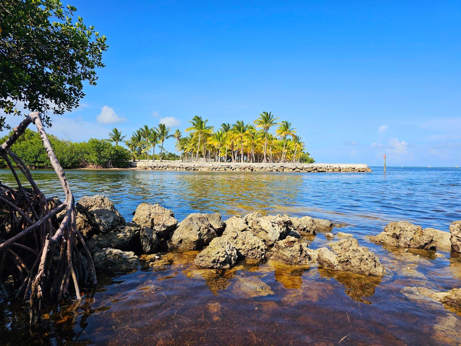 Sandee Curry Hammock State Park Photo