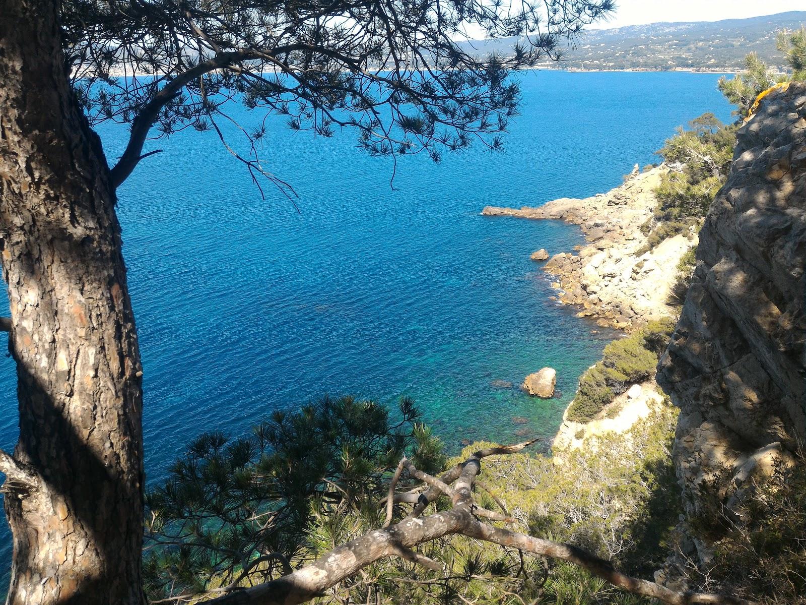 Sandee La Pointe Grenier