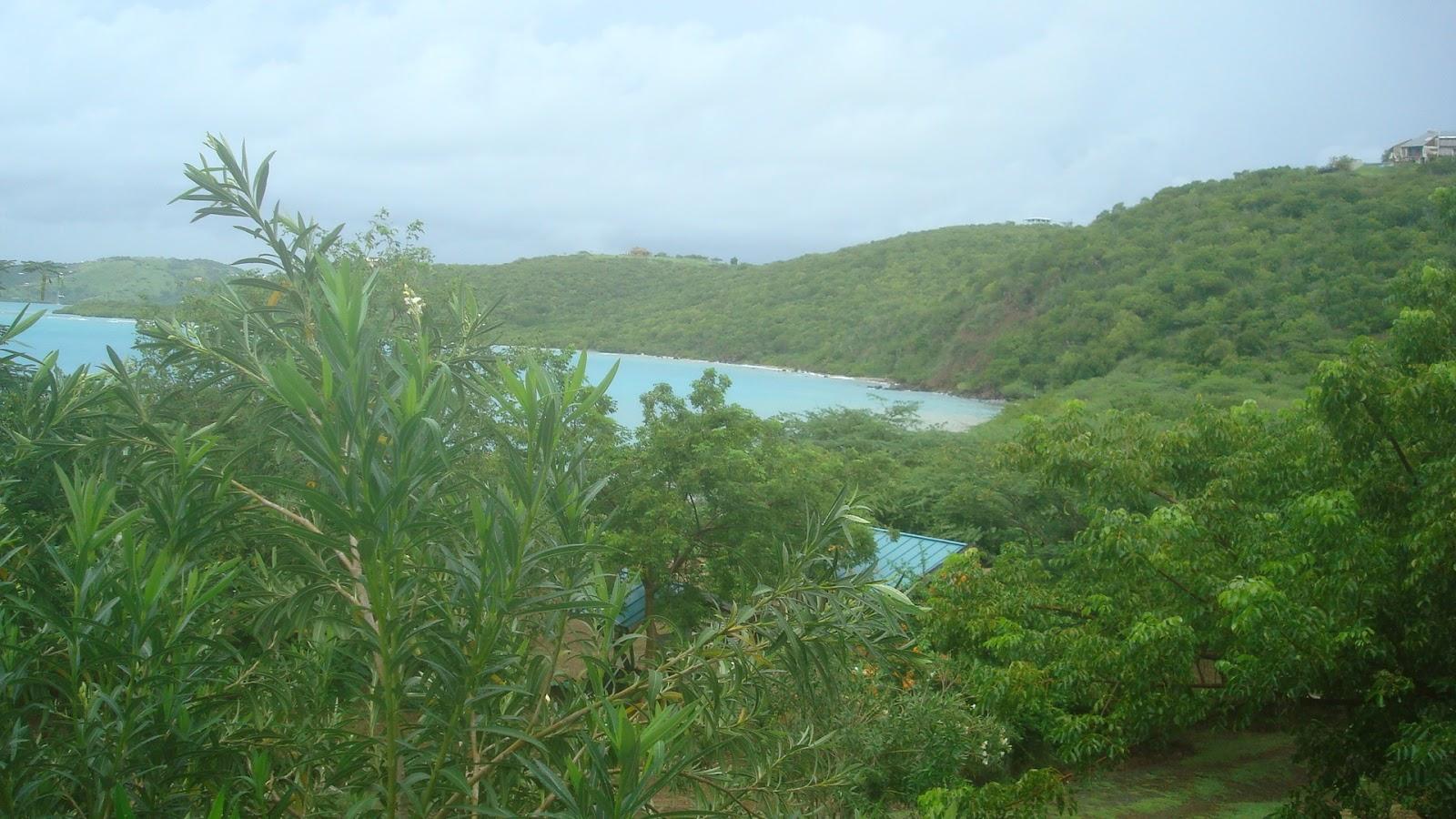 Sandee Playa Mosquito