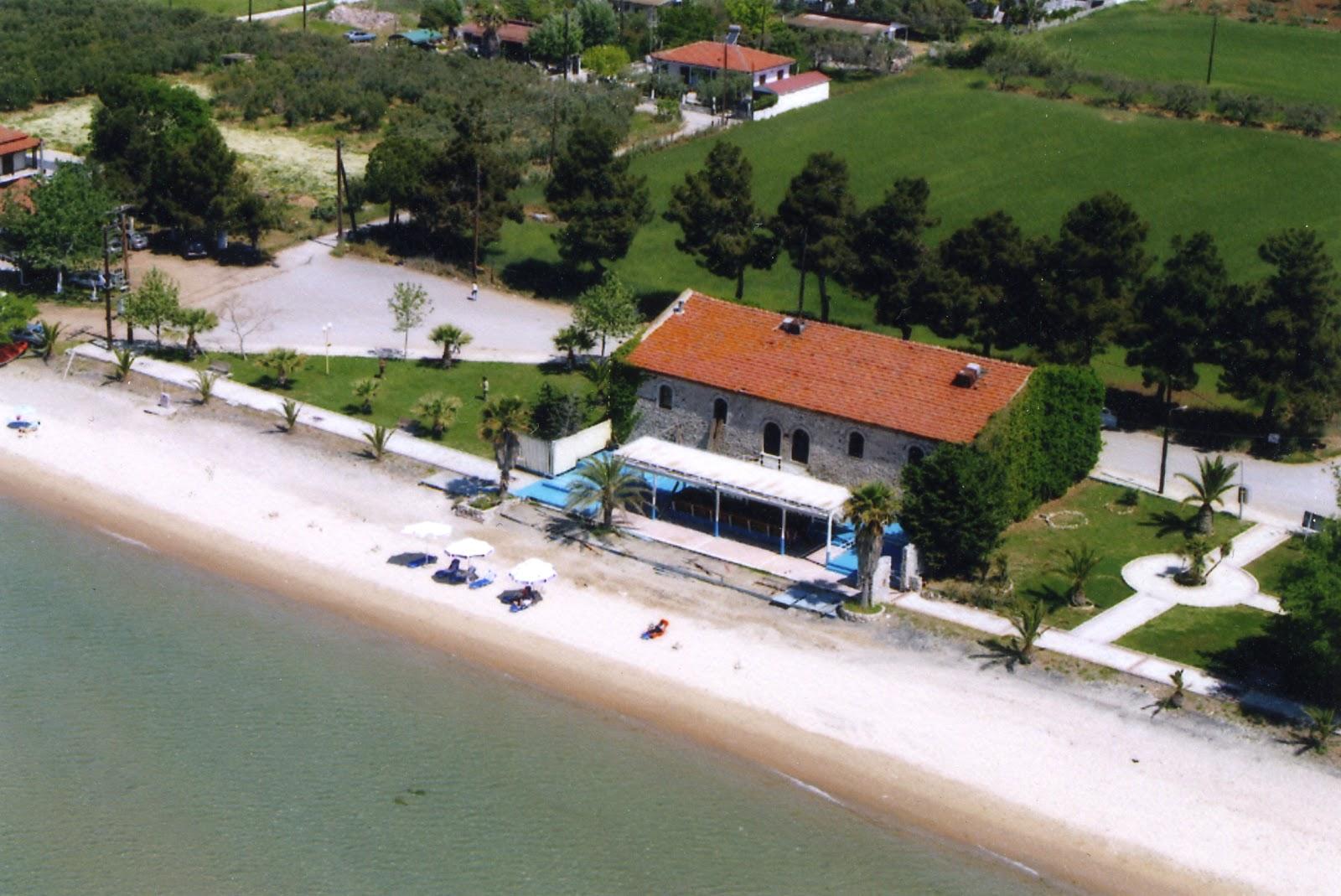 Sandee Nea Triglia