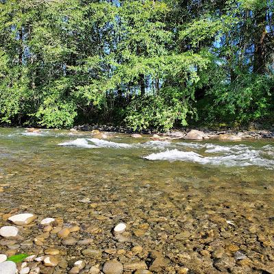 Sandee - Bogachiel State Park