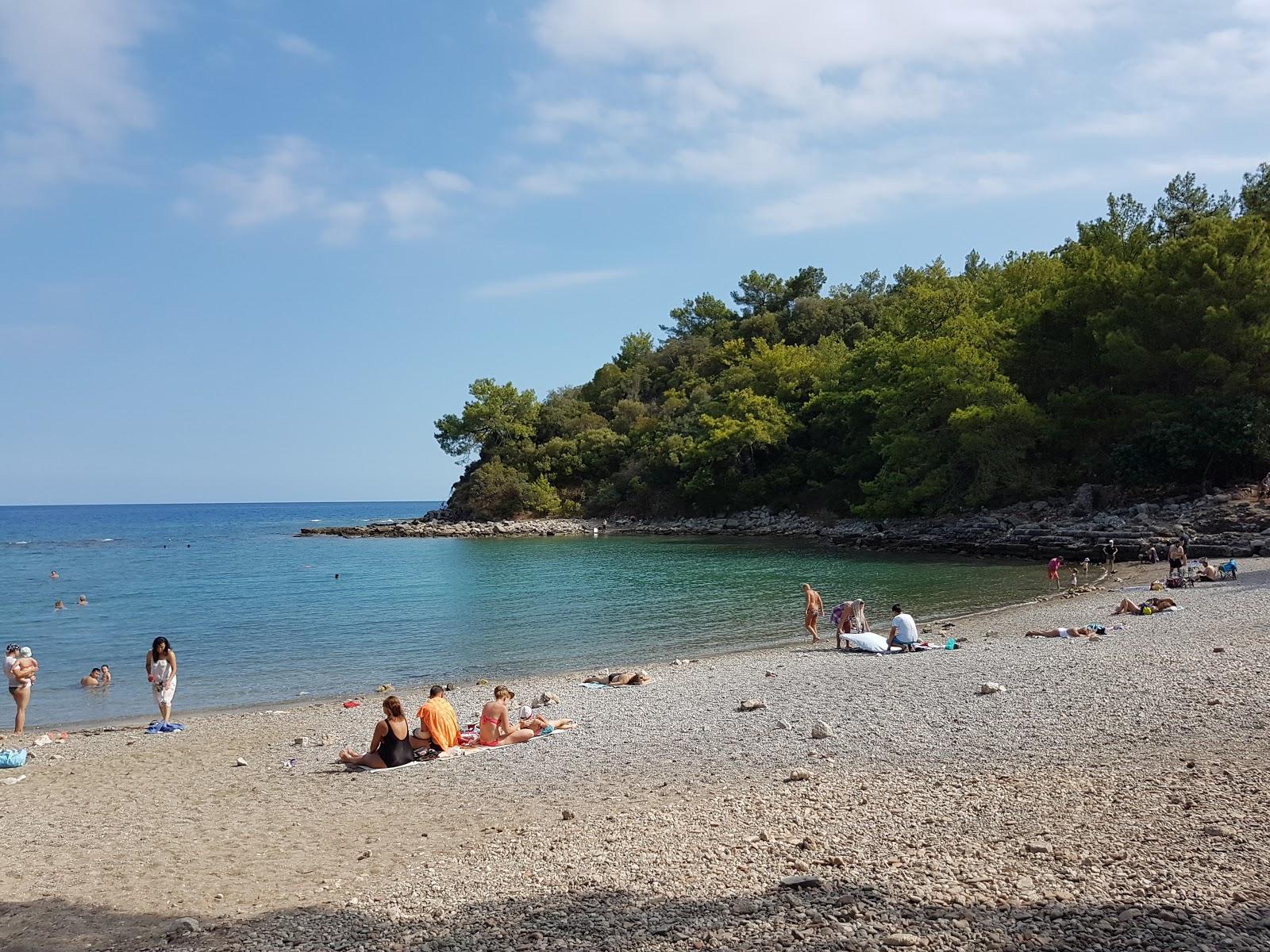 Sandee Phaselis Small Beach