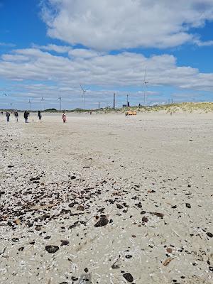 Sandee - Aloha Wijk Aan Zee Strandpaviljoen