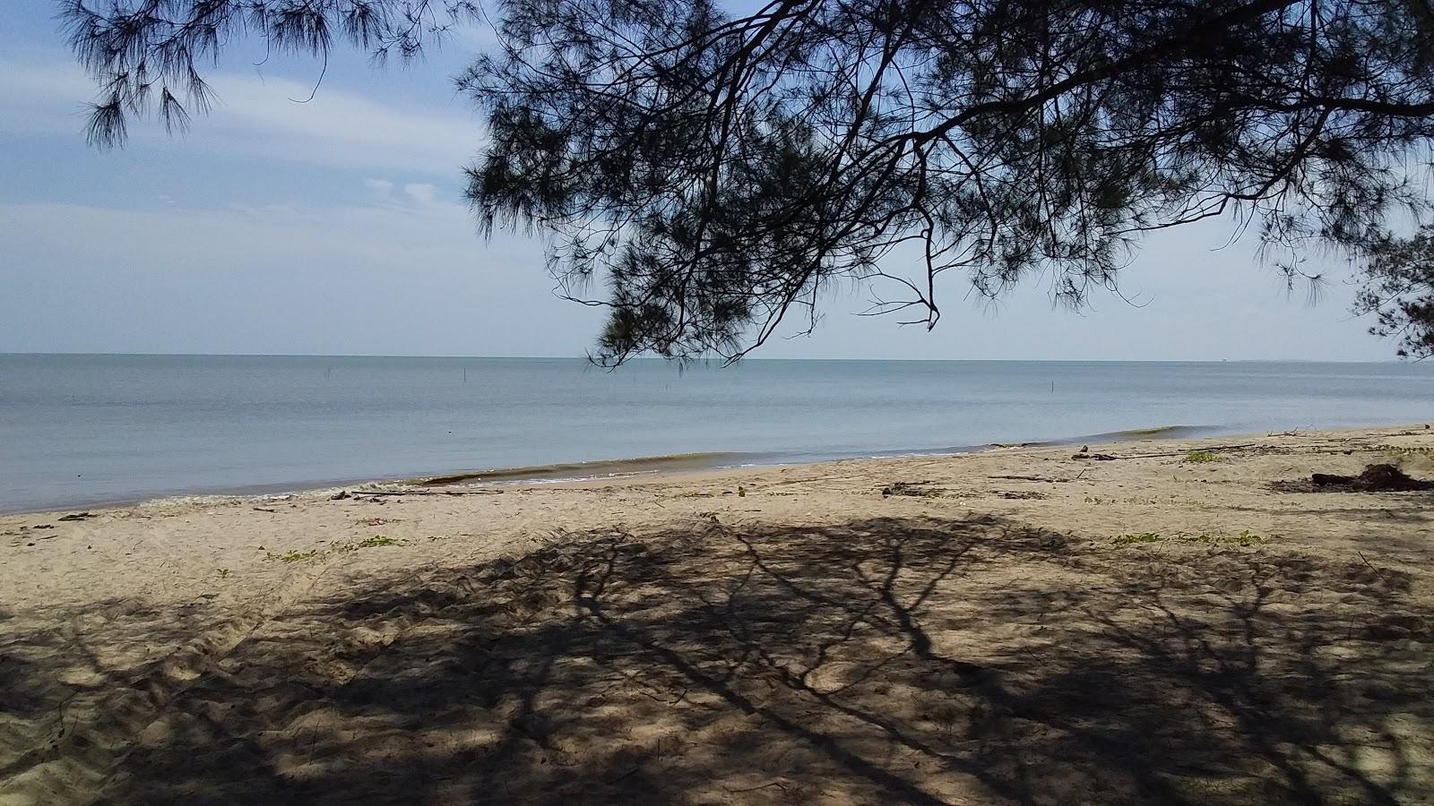 Sandee Tanah Hitam Beach