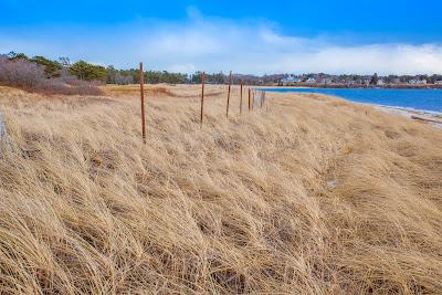 Sandee - Western Beach