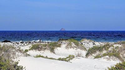 Sandee - Playa De Punta Del Palo