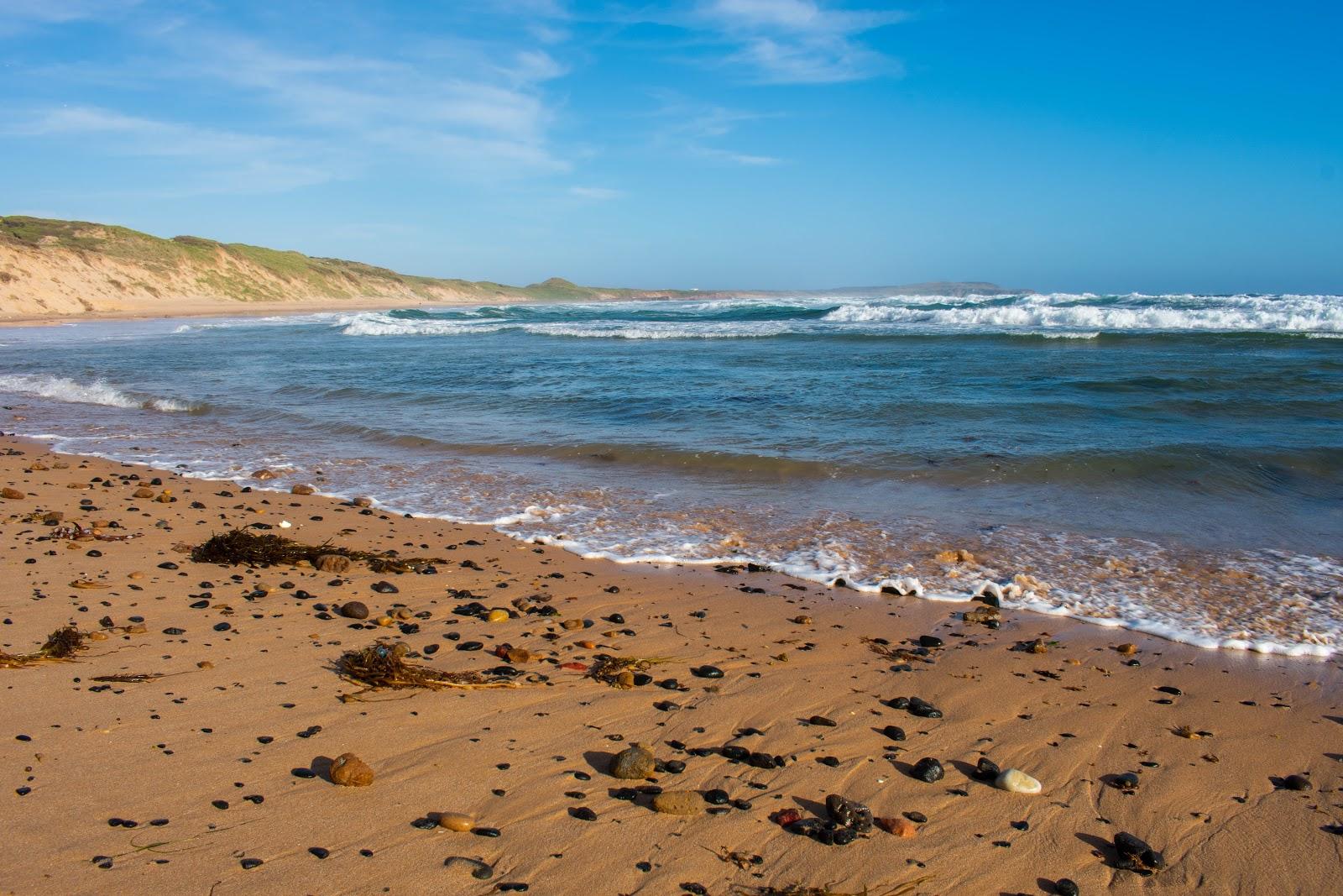 Philip Island Photo - Sandee