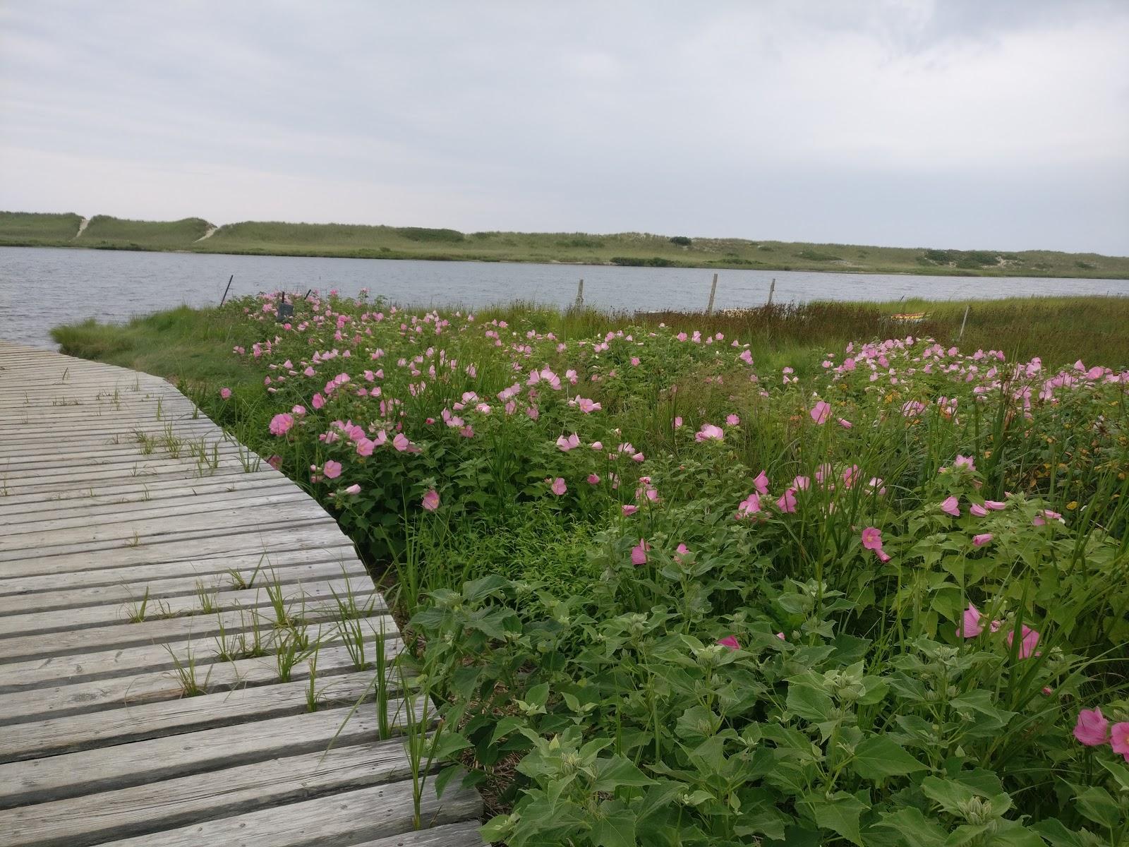 Sandee Ocean At Chilmark Pond Preserve Photo