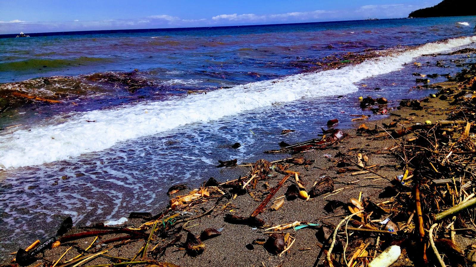 Sandee Hiquiana Beach Resort