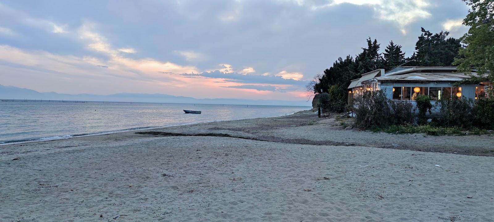 Sandee Fine Sand Beach With Taverna