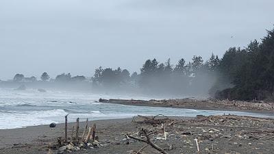 Sandee - Crissey Field State Recreation Site