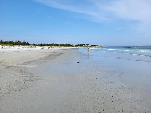 Sandee Stoney Island Beach Photo