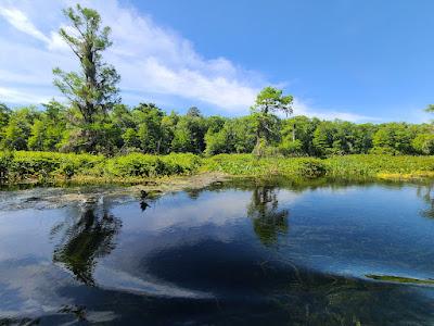 Sandee - Wakulla Springs State Park