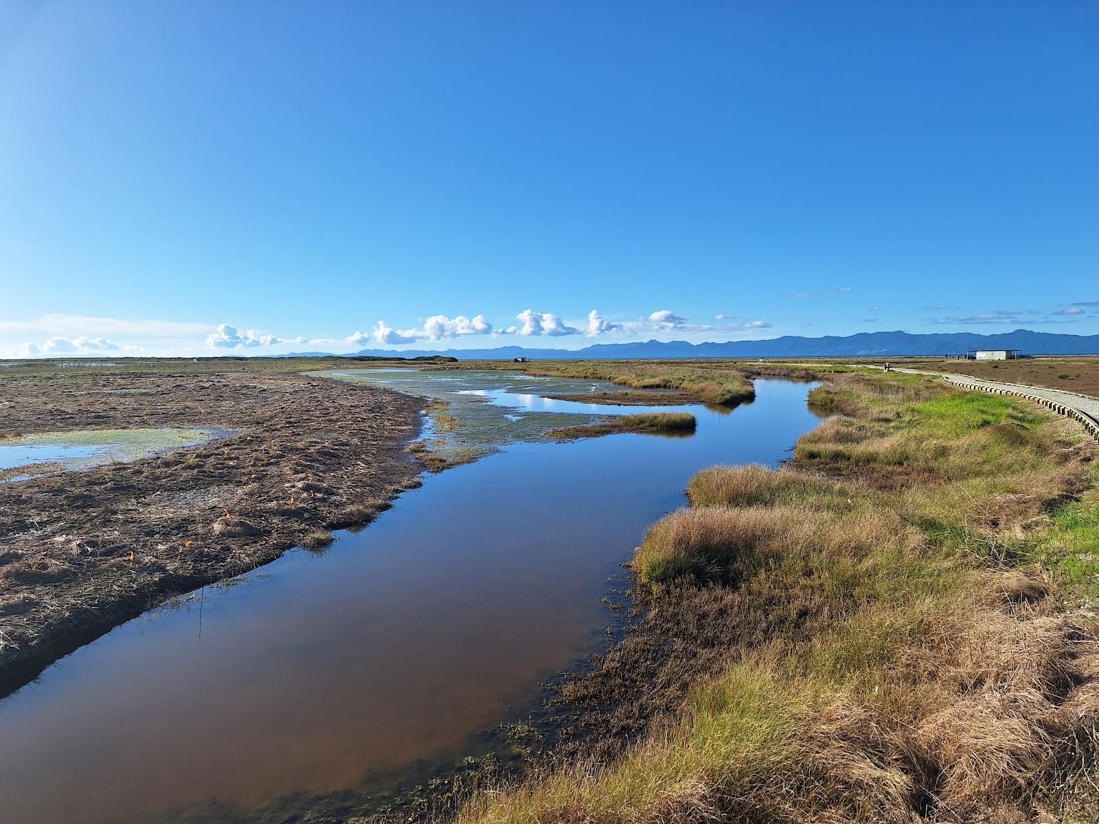 Sandee Robert Findlay Wildlife Reserve