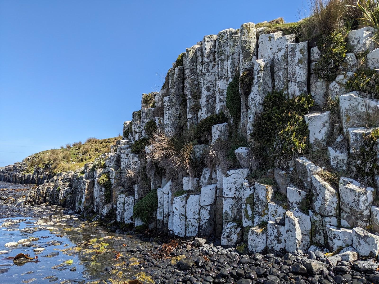 Sandee - HomePage / Chatham Islands Territory