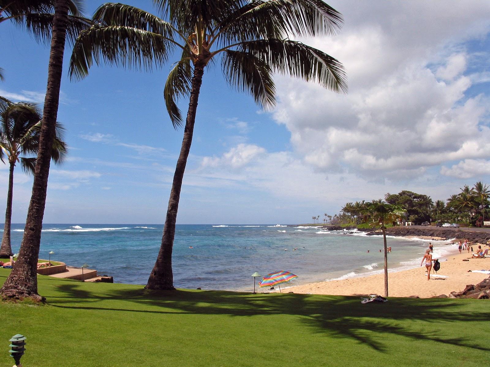 Sandee - Prince Kuhio Park