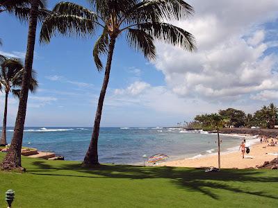 Sandee - Prince Kuhio Park