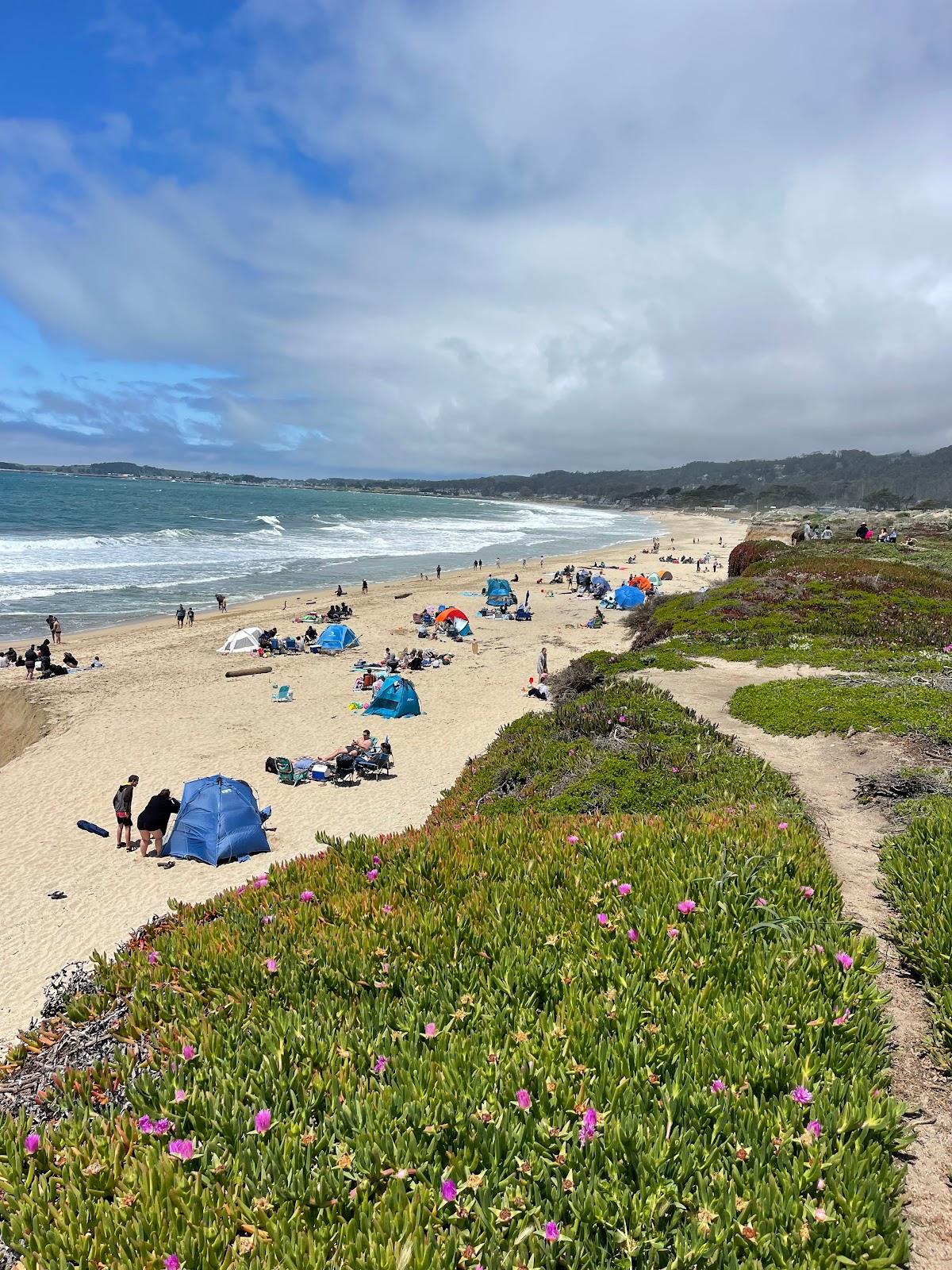 Sandee Dunes Beach Photo