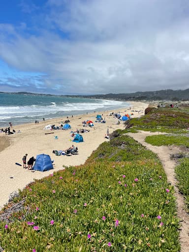 Sandee Dunes Beach Photo