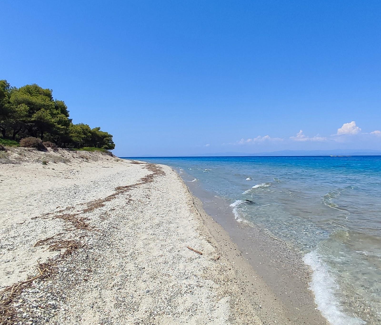 Sandee Paragga Beach