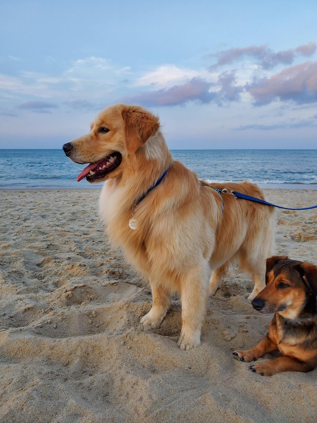 Sandee Public Beach Access - Sutton Avenue