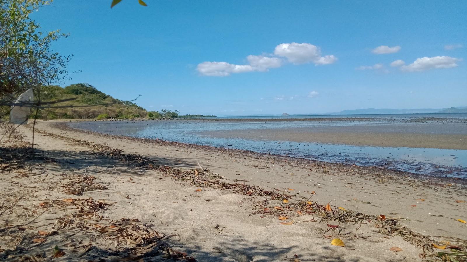 Sandee Pantai Pungkin Lambato Photo