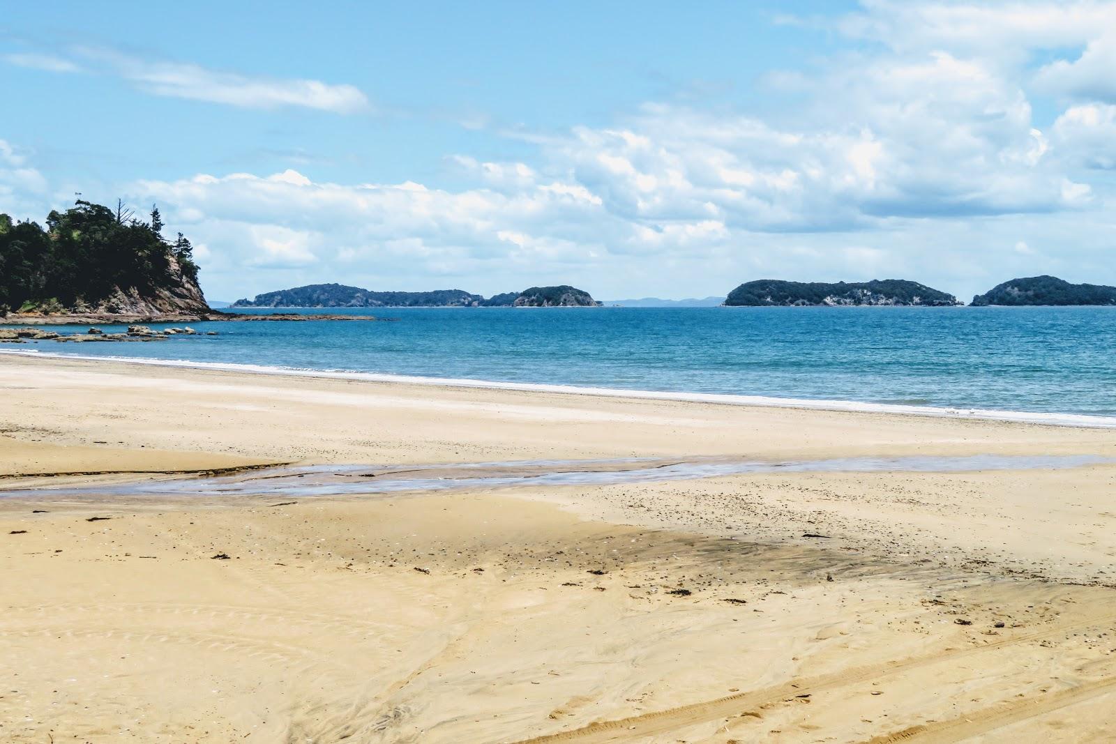 Sandee Amodeo Bay