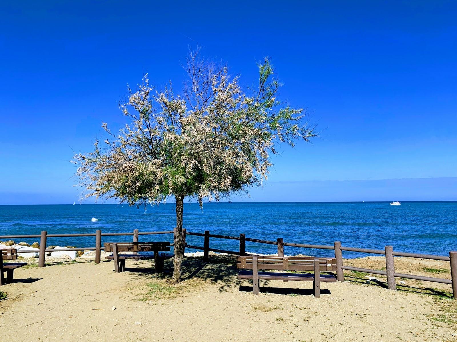 Sandee San Vincenzo