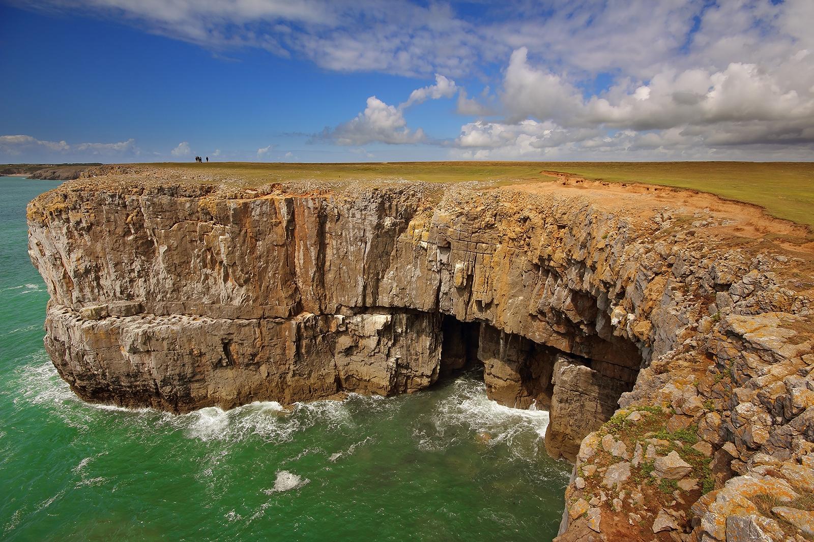 Sandee Stackpole Head