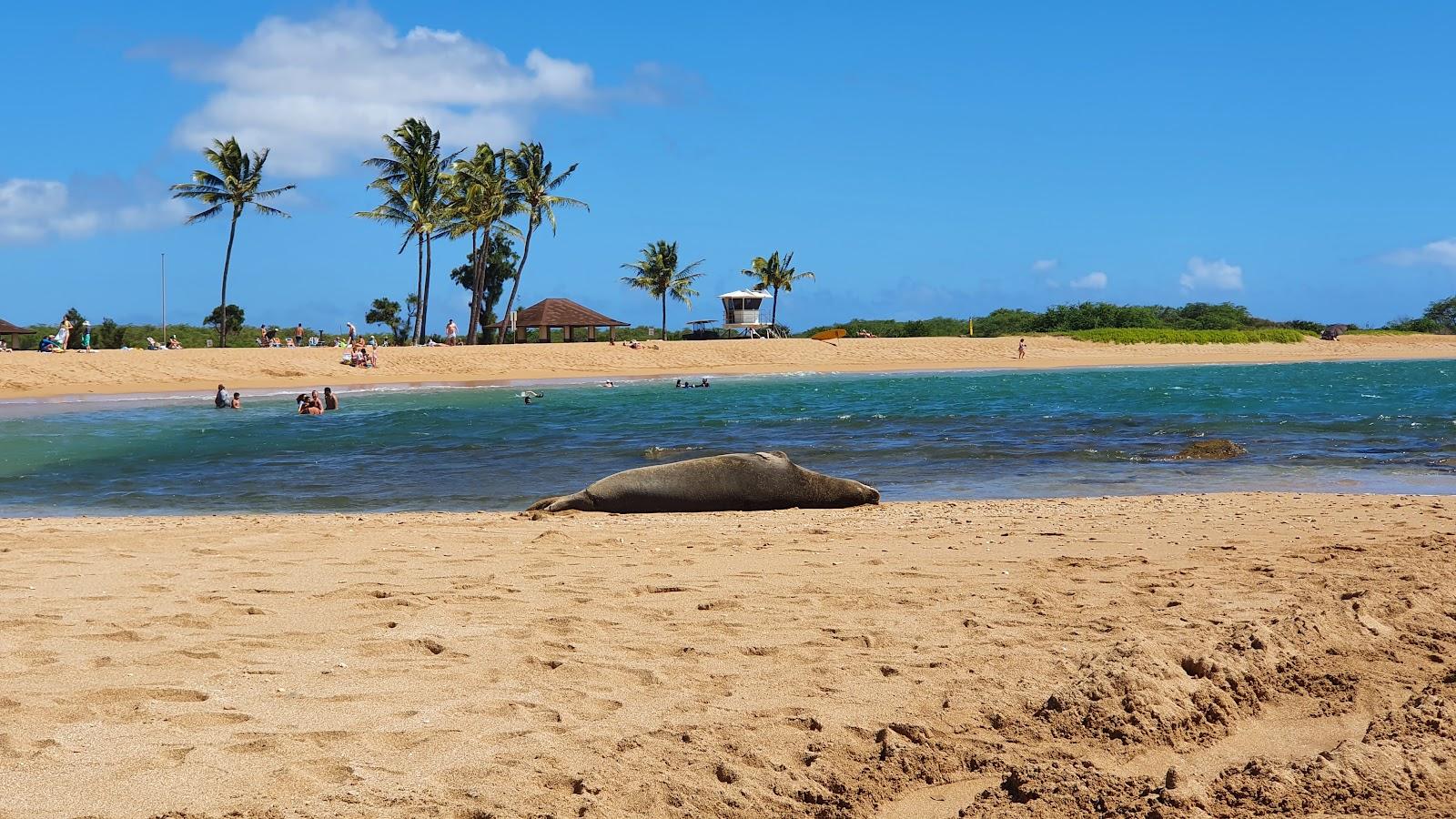 Sandee - Salt Pond Beach Park