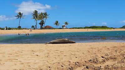 Sandee - Salt Pond Beach Park