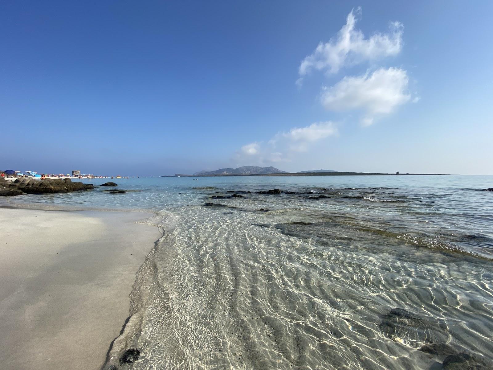 Sandee - Spiaggia Del Porto Di Stintino