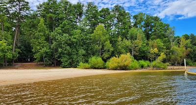 Sandee - Amity Park - Catfish Cove